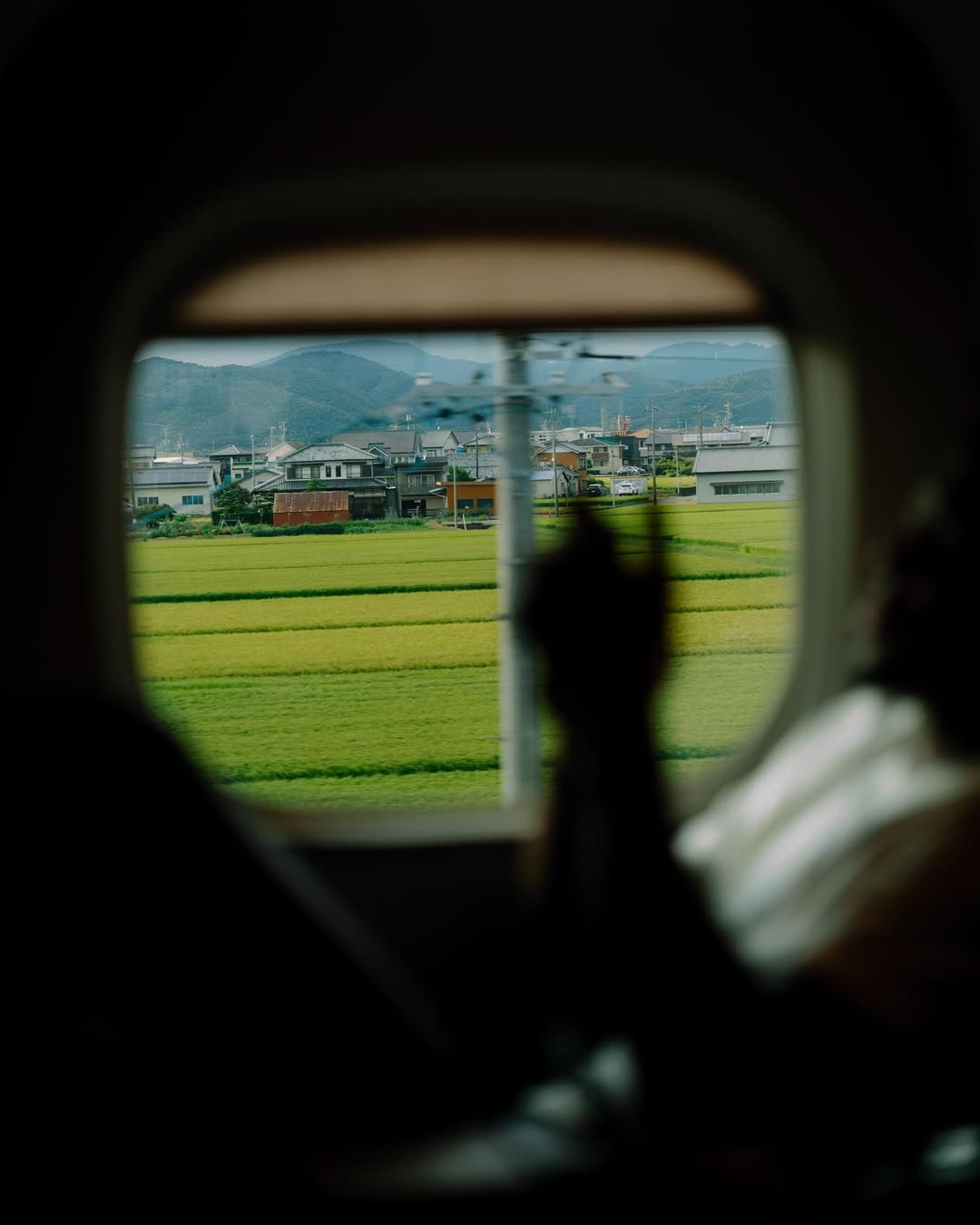 s晒自己游, div, alt